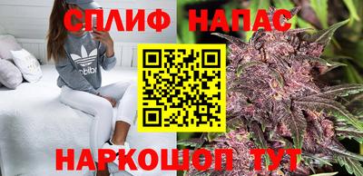 сатива Бузулук