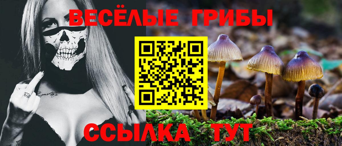 Псилоцибиновые грибы Psilocybine cubensis Москва